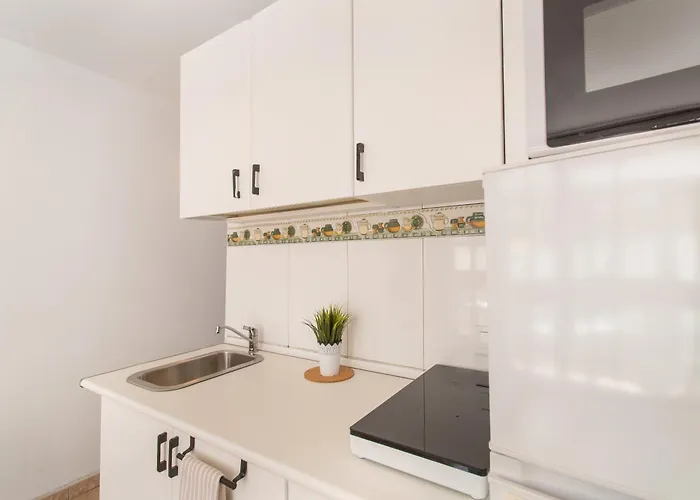 Apartamento Playa Del Ingles