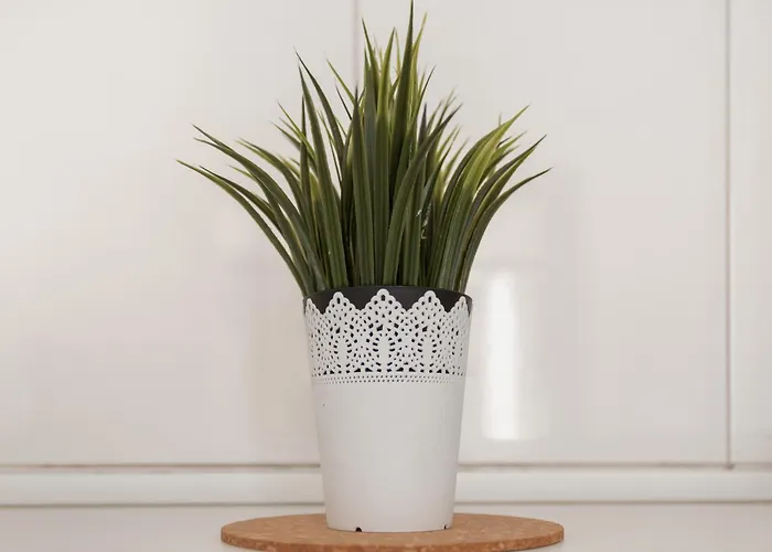 Apartamento Playa Del Ingles * מספאלומס